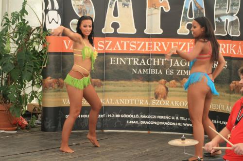 2010.08.07 Konyvbemutato1-122