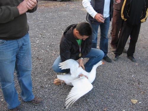 2010.11.06 Gunar-Kupa-076