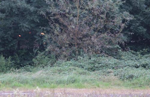 2014.09.20 Dio-Kupa-135