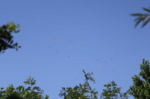 2015.07.12 GYKV-Magyar-Kupa-IV.fordulo-161