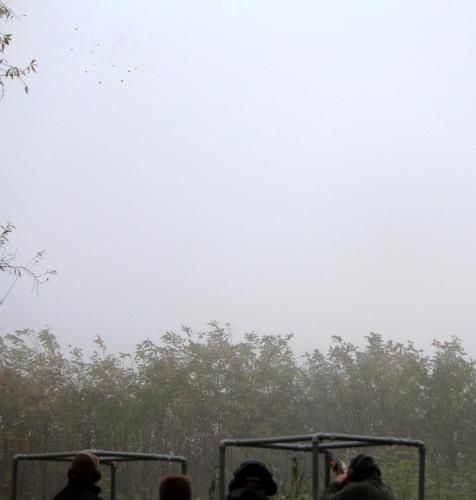 2015.11.07 Gunar-Kupa-120