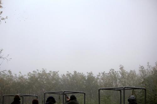 2015.11.07 Gunar-Kupa-121