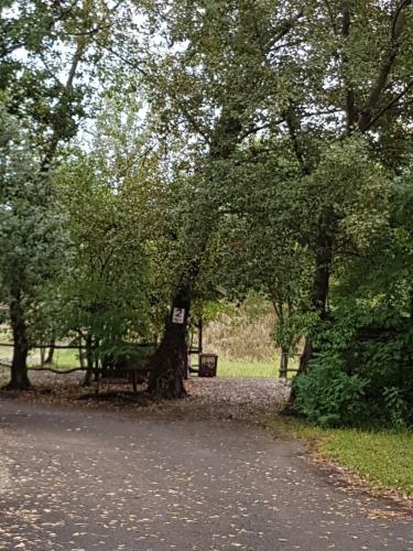 2019.09.08 Wesselenyi-Miklos-Vadasz-Tarsasag-027