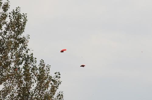 2019.09.28 Gunar-Kupa-138