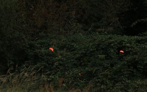 2019.09.28 Gunar-Kupa-140