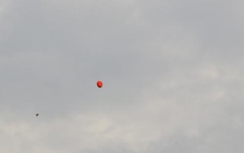 2019.09.28 Gunar-Kupa-147