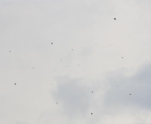 2019.09.28 Gunar-Kupa-148