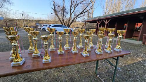 2025.02.22 evadnyito-029