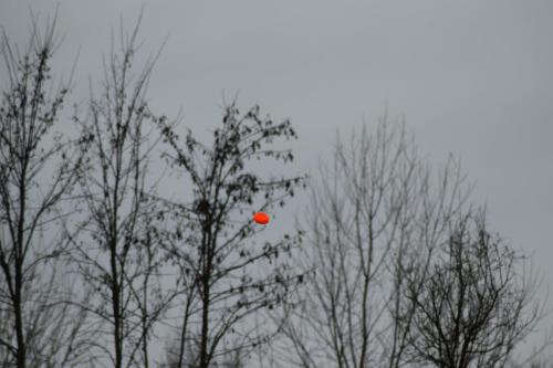 tavaszikupa-2025.03.22-40