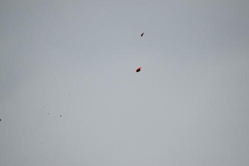 tavaszikupa-2025.03.22-44