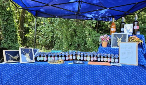 feribacsifozvalami-2025.07.19.-11