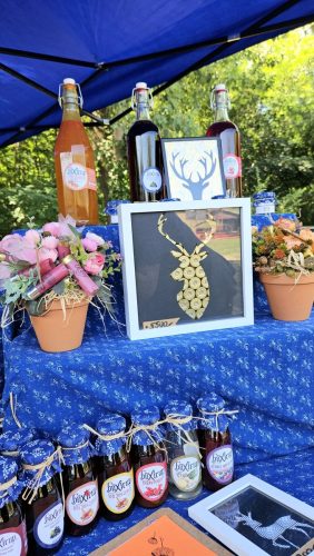 feribacsifozvalami-2025.07.19.-14